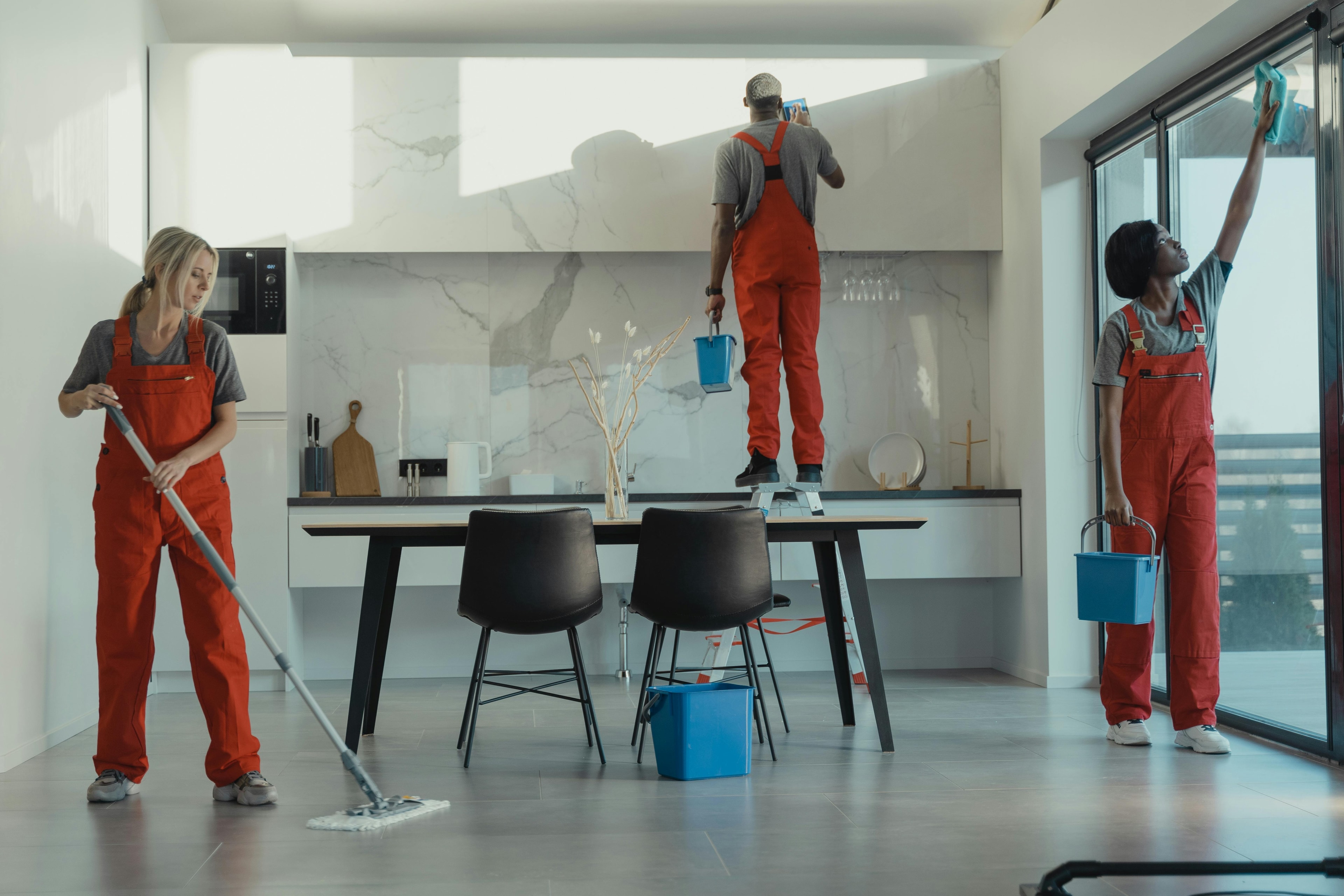 Professional cleaning team